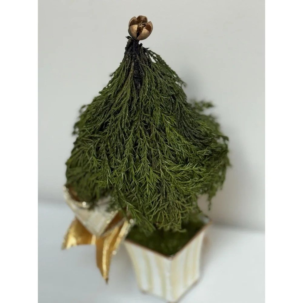 NEW Mackenzie Childs Evergreen  Accents Topiary Mocha Check/Stripe 9